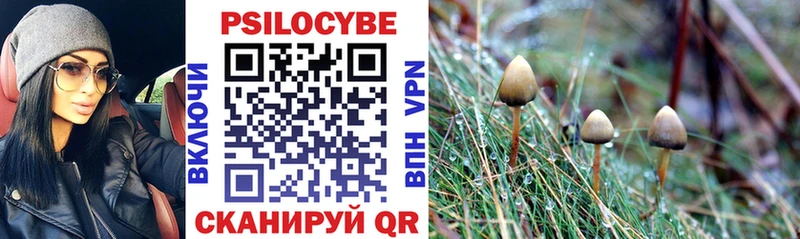 наркошоп  Гаджиево  Псилоцибиновые грибы MAGIC MUSHROOMS 